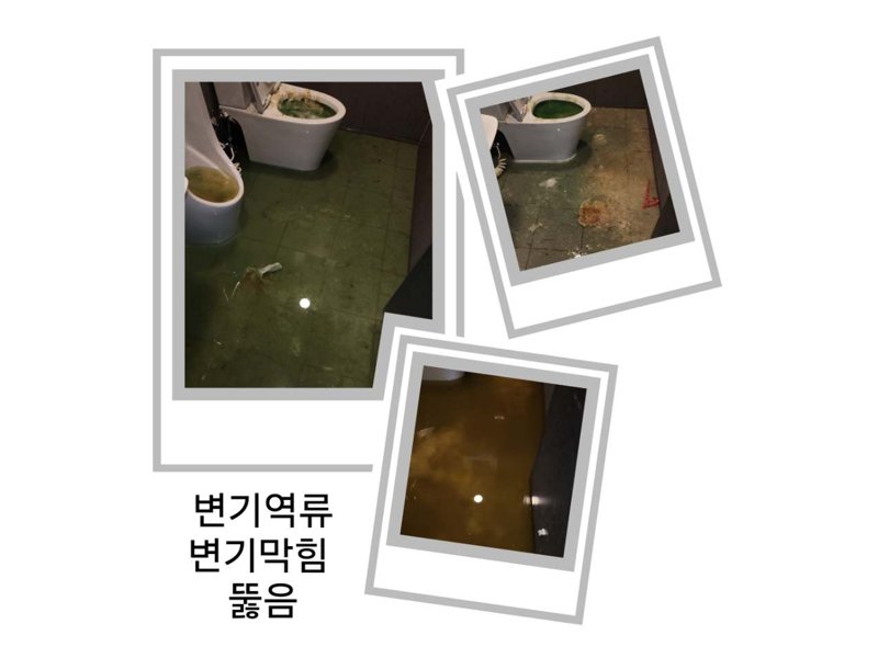 강서구 1층 화장실로 물이 올라올 때 확인할 것